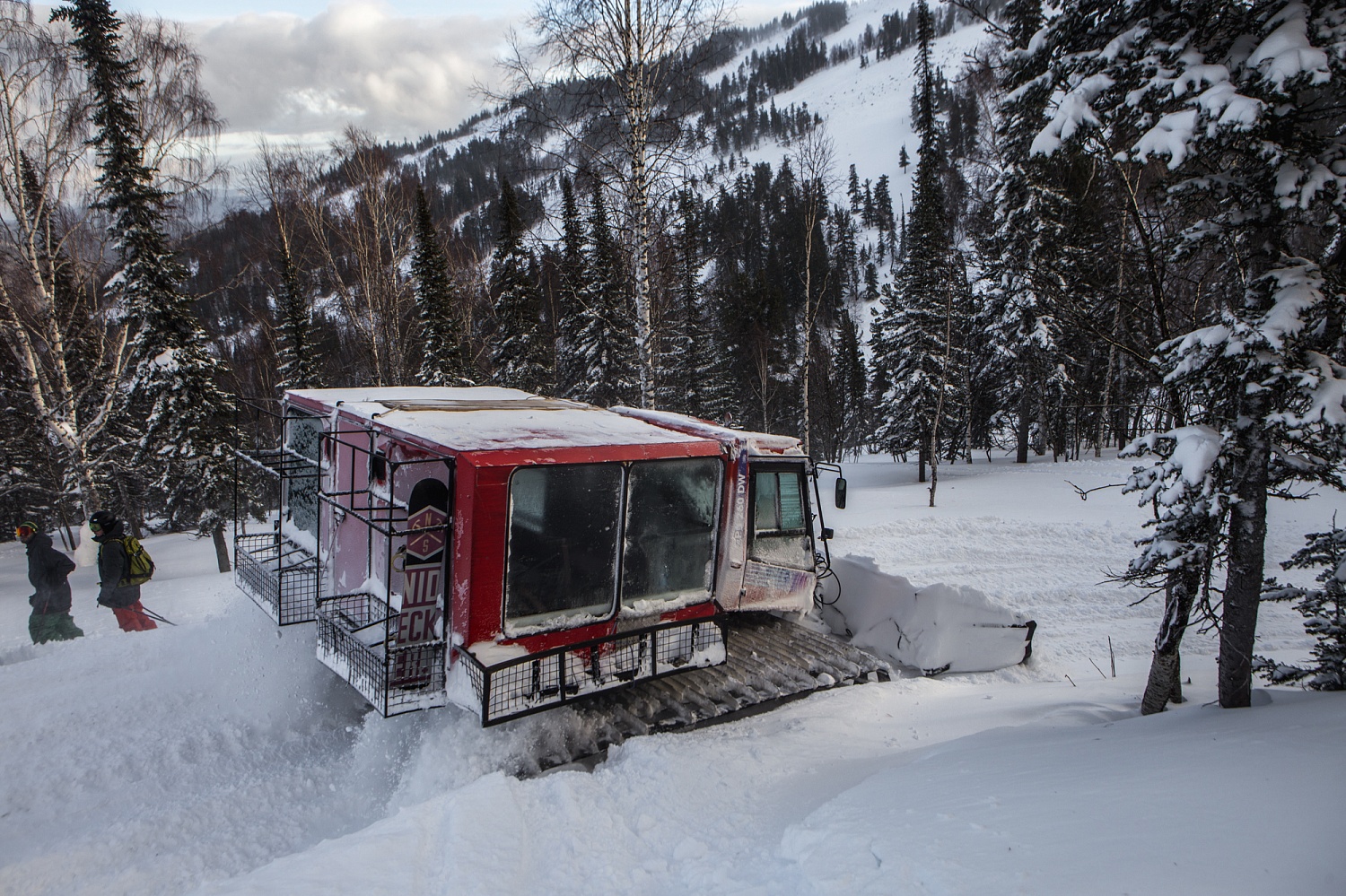 037fdbe32ff31f7b7fc09abf9b900de3