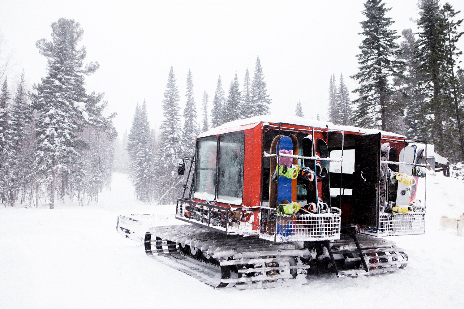 042ed14627d264d41083be3731420550