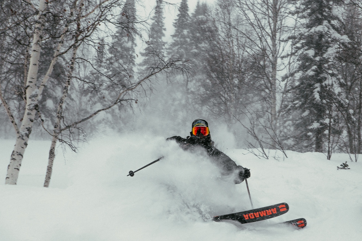 81b4117eeef044cae95481a201045ed5