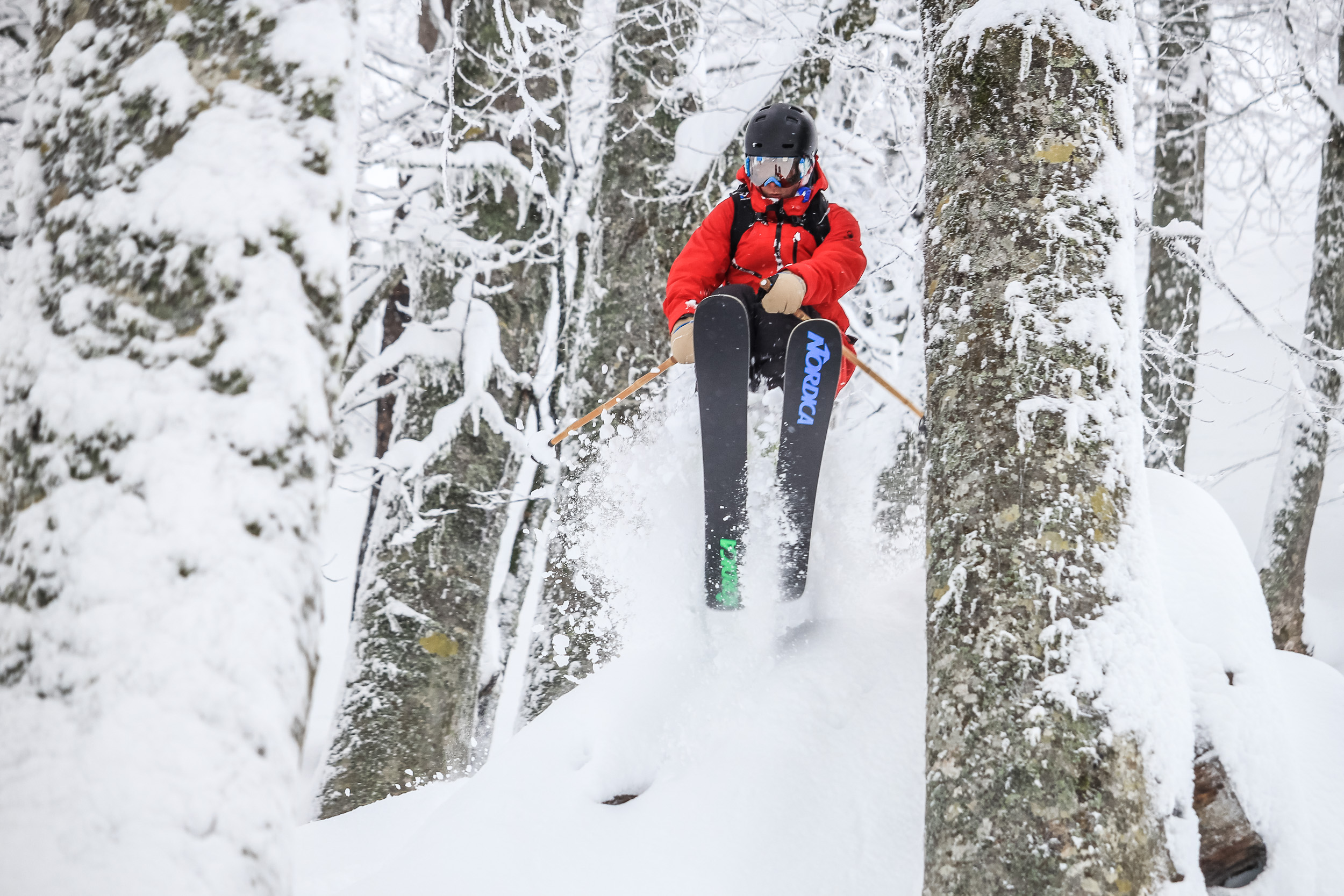 Фрирайд Красная Поляна Розу Хутор Альпика