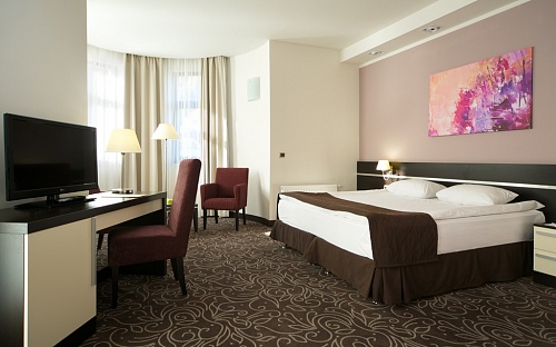 فندق هيليوبارك فري ستايل ستوديو 1