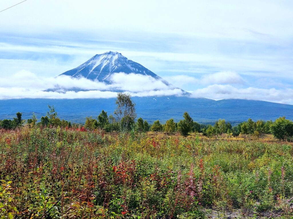 Индивидуальные туры на Камчатку: актуальные онлайн предложения