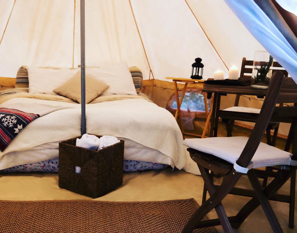 58409585_11678374333