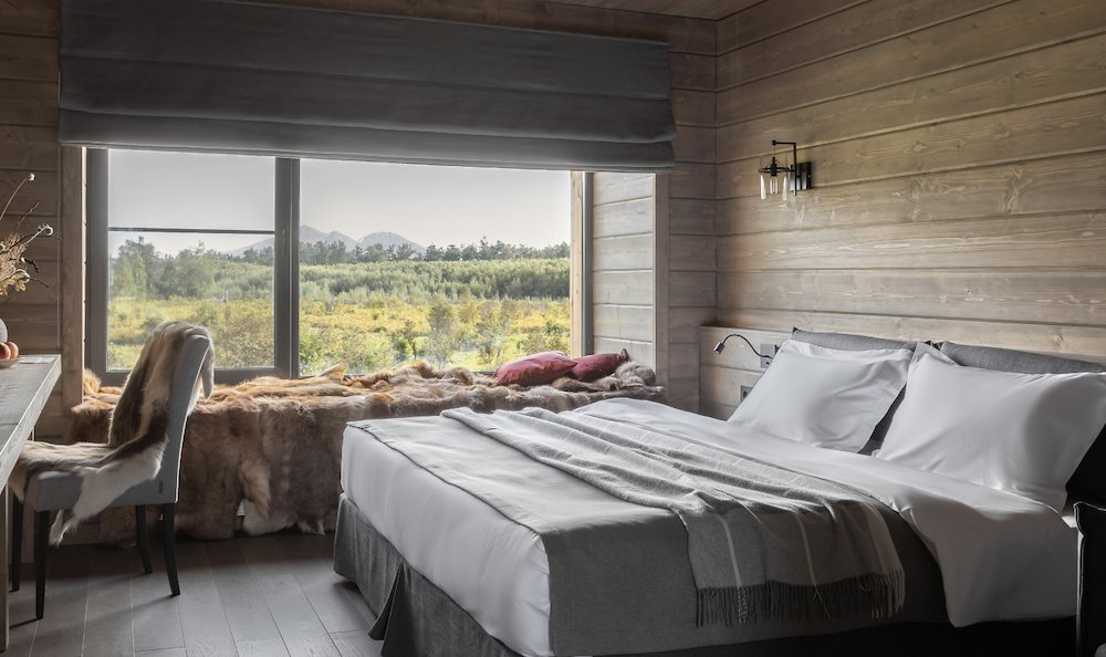 截图于 2024-02-28 00.51.37